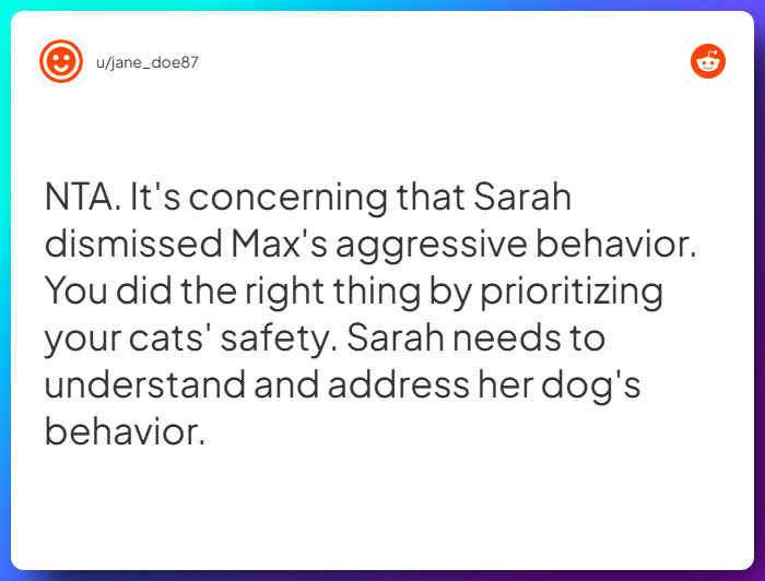 Comment from u/jane_doe87