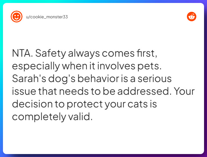 Comment from u/cookie_monster33