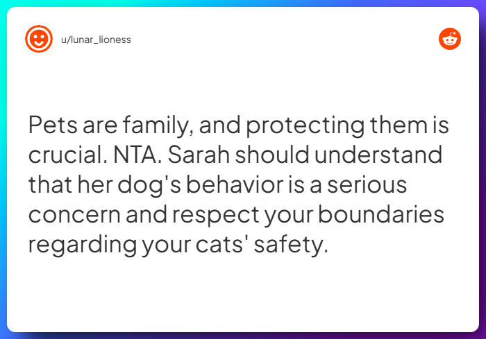 Comment from u/lunar_lioness