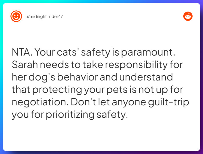 Comment from u/midnight_rider47