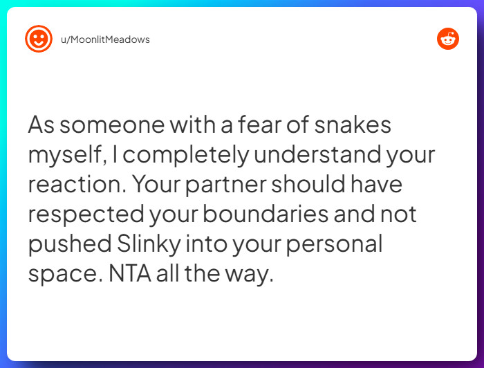 Comment from u/MoonlitMeadows