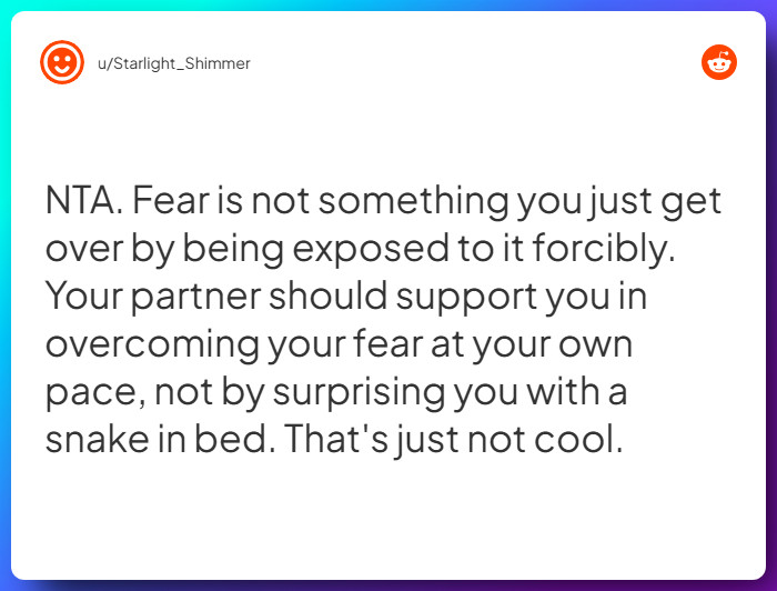 Comment from u/Starlight_Shimmer