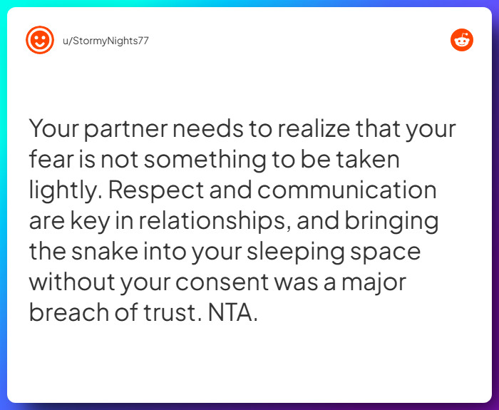 Comment from u/StormyNights77