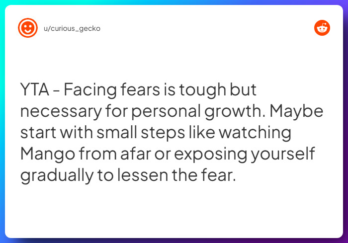 Comment from u/curious_gecko