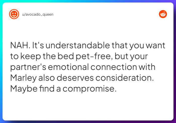 Comment from u/avocado_queen