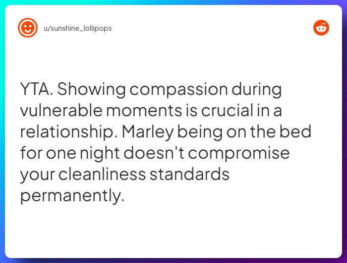 Comment from u/sunshine_lollipops