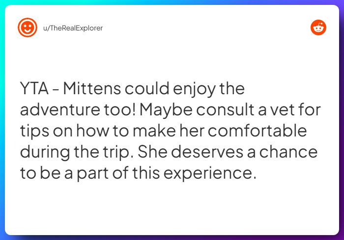 Comment from u/TheRealExplorer