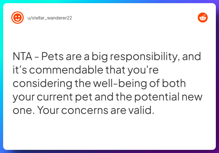 Comment from u/stellar_wanderer22