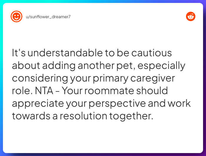 Comment from u/sunflower_dreamer7