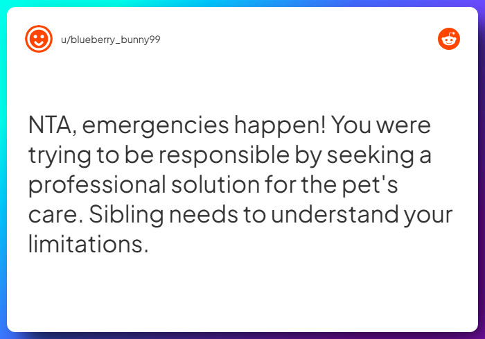 Comment from u/blueberry_bunny99