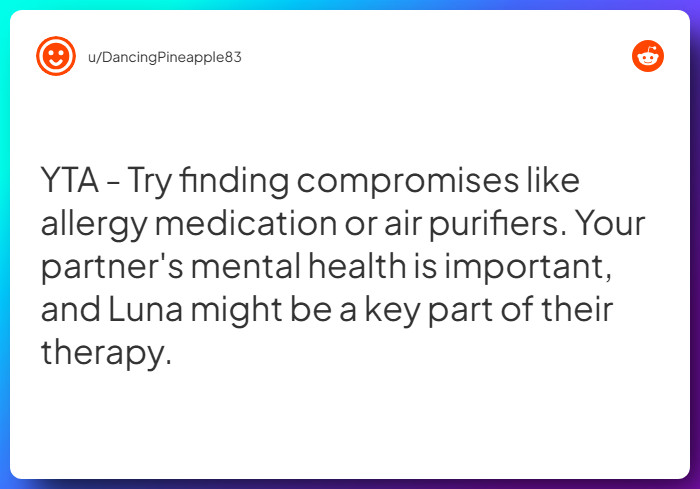 Comment from u/DancingPineapple83