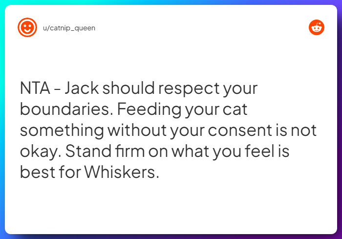 Comment from u/catnip_queen