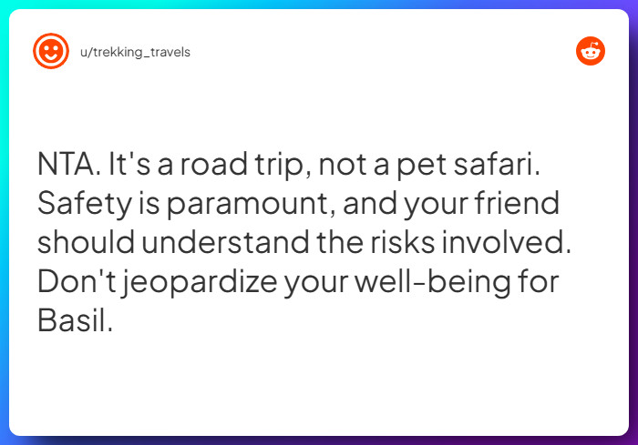 Comment from u/trekking_travels