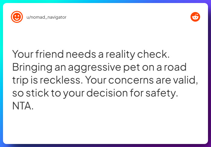 Comment from u/nomad_navigator