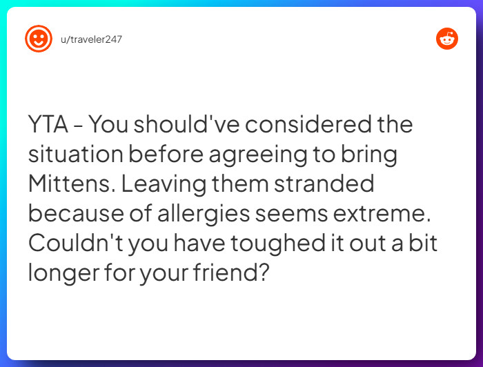 Comment from u/traveler247