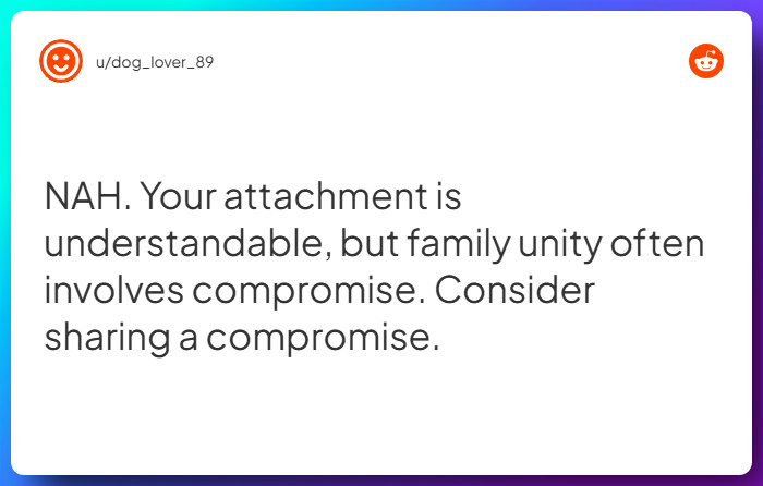 Comment from u/dog_lover_89