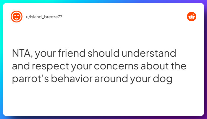 Comment from u/island_breeze77