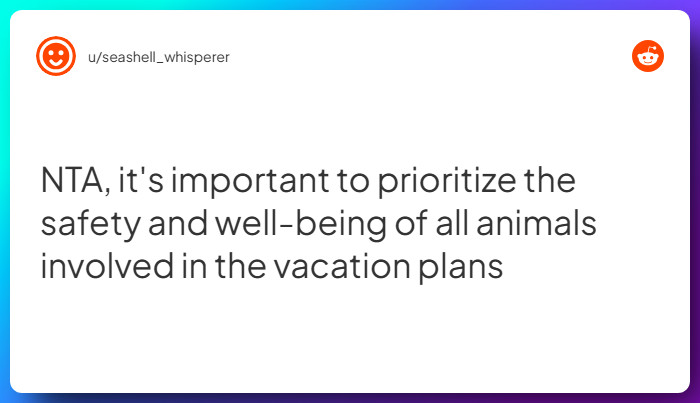 Comment from u/seashell_whisperer