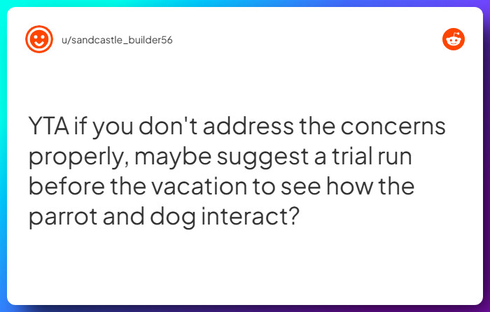 Comment from u/sandcastle_builder56