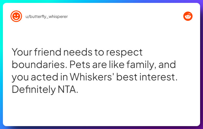 Comment from u/butterfly_whisperer