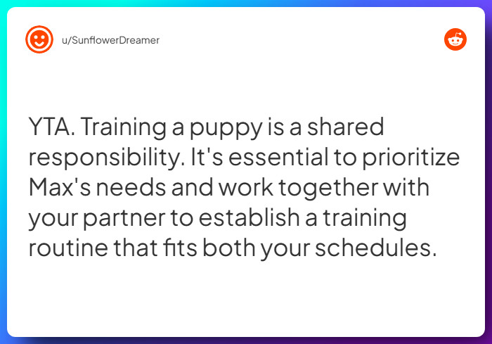 Comment from u/SunflowerDreamer