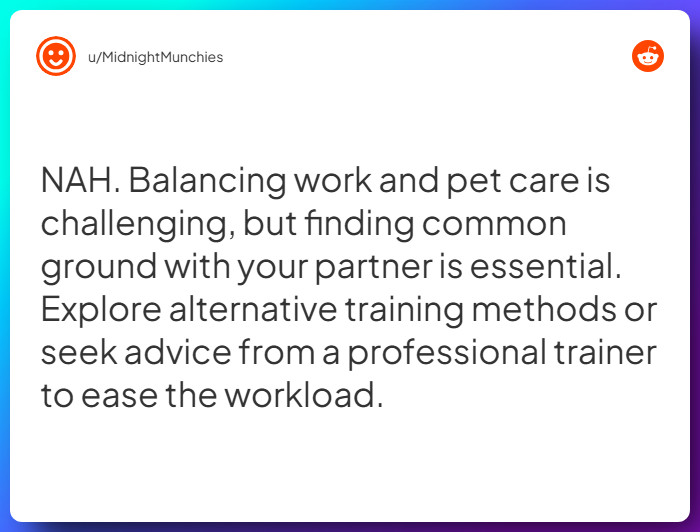 Comment from u/MidnightMunchies