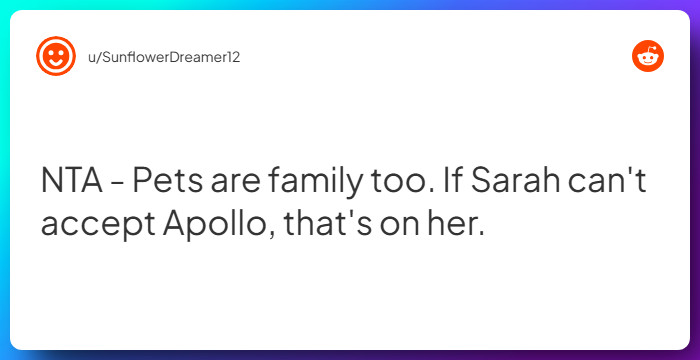 Comment from u/SunflowerDreamer12