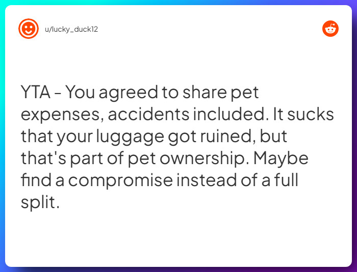 Comment from u/lucky_duck12