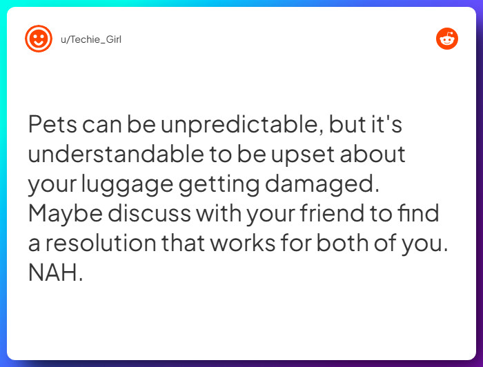 Comment from u/Techie_Girl