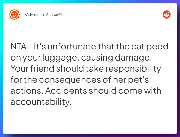 Comment from u/Adventure_Seeker99