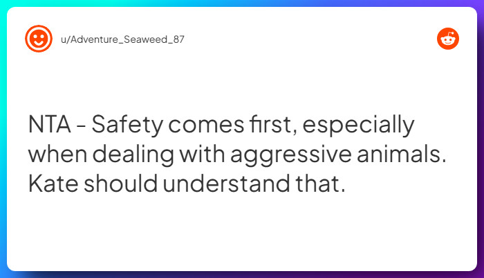 Comment from u/Adventure_Seaweed_87