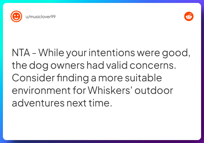 Comment from u/musiclover99