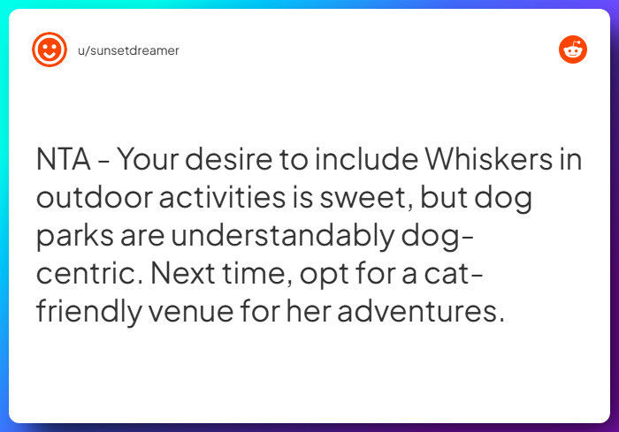 Comment from u/sunsetdreamer