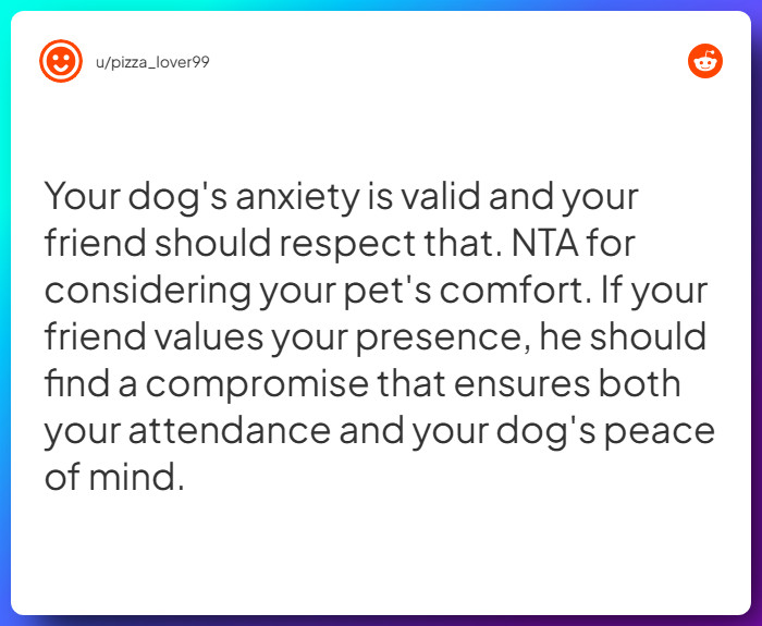 Comment from u/pizza_lover99