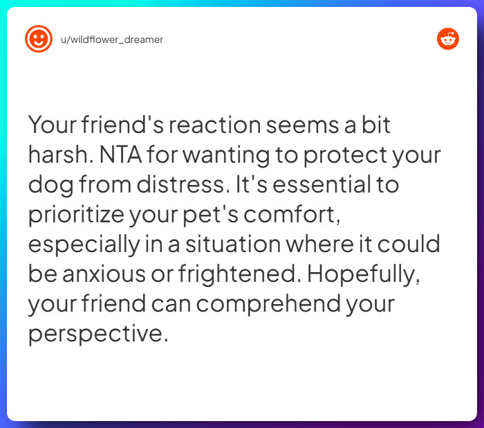 Comment from u/wildflower_dreamer