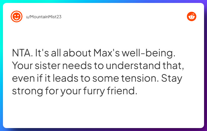 Comment from u/MountainMist23