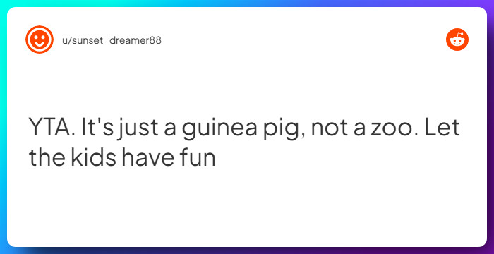 Comment from u/sunset_dreamer88