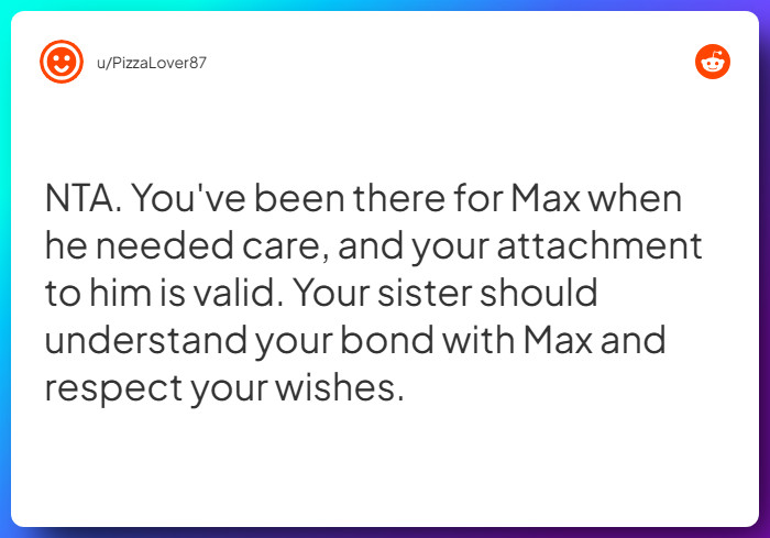 Comment from u/PizzaLover87