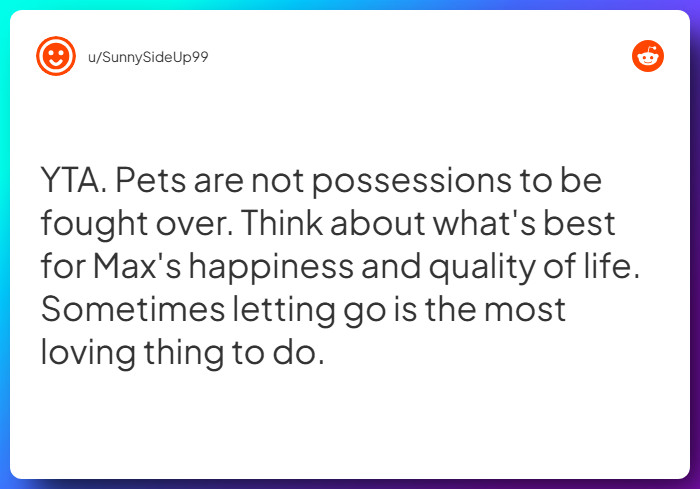 Comment from u/SunnySideUp99