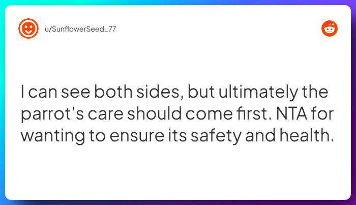 Comment from u/SunflowerSeed_77