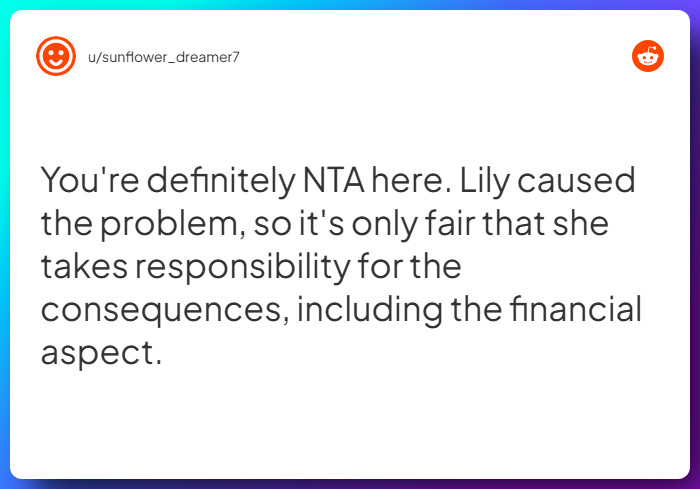 Comment from u/sunflower_dreamer7