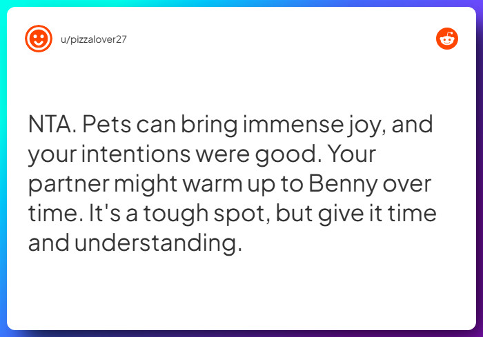 Comment from u/pizzalover27