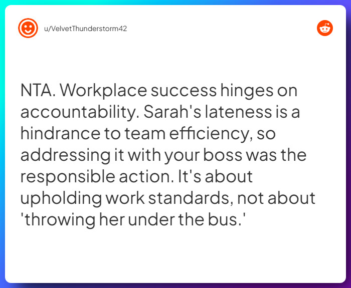 Comment from u/VelvetThunderstorm42