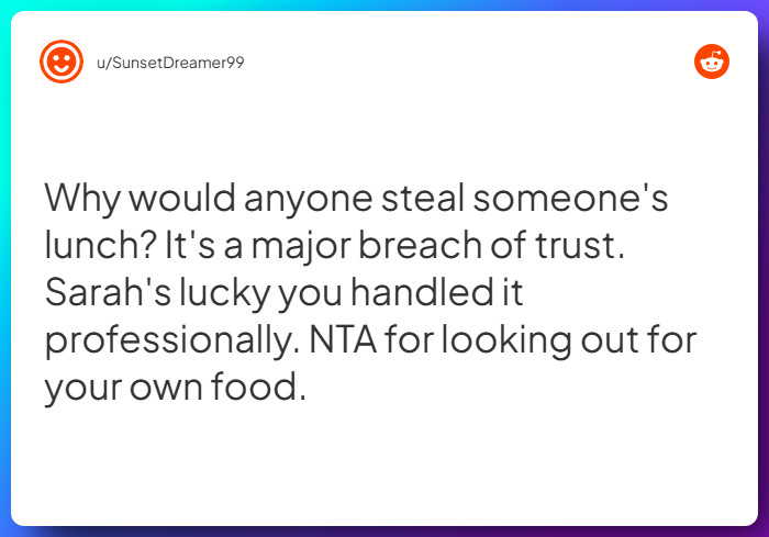 Comment from u/SunsetDreamer99