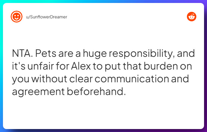 Comment from u/SunflowerDreamer