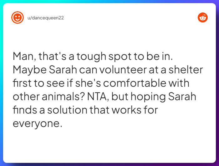 Comment from u/dancequeen22