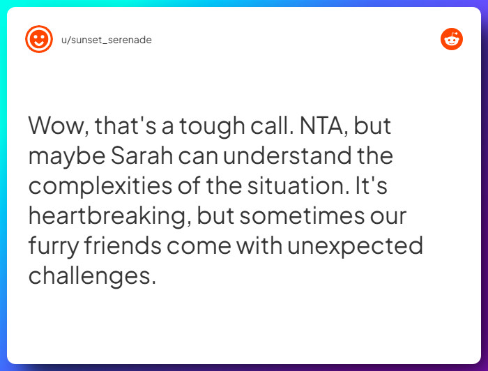 Comment from u/sunset_serenade