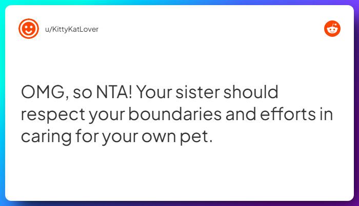 Comment from u/KittyKatLover