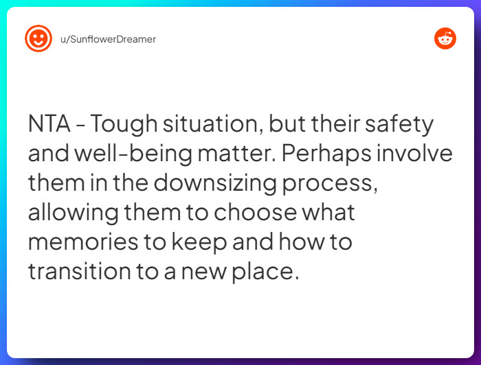 Comment from u/SunflowerDreamer