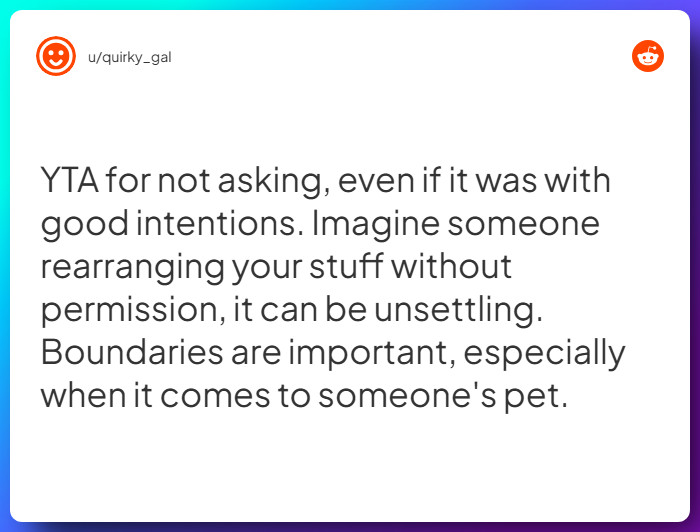 Comment from u/quirky_gal